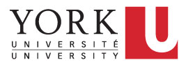 York University